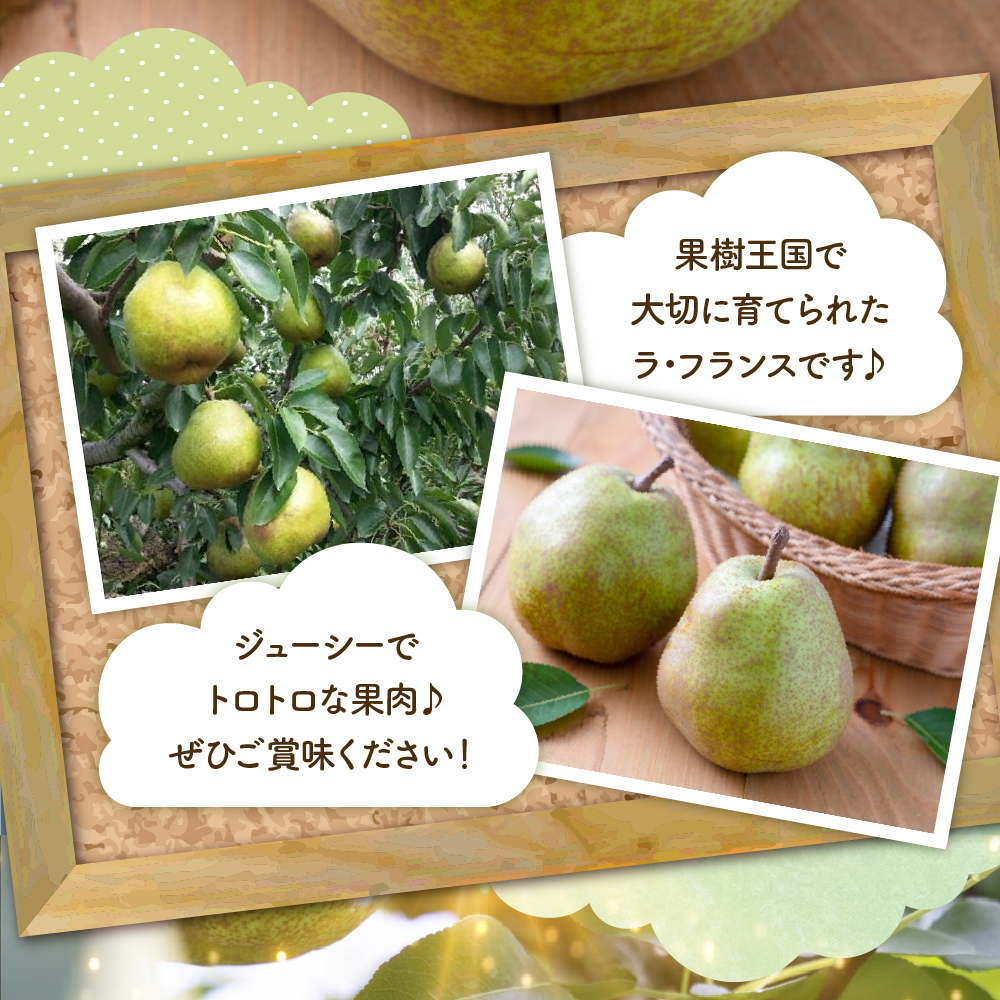 【2025年産 先行予約】 洋なし「ラ・フランス」2kg 山形県 東根市 JA提供 hi003-132-1