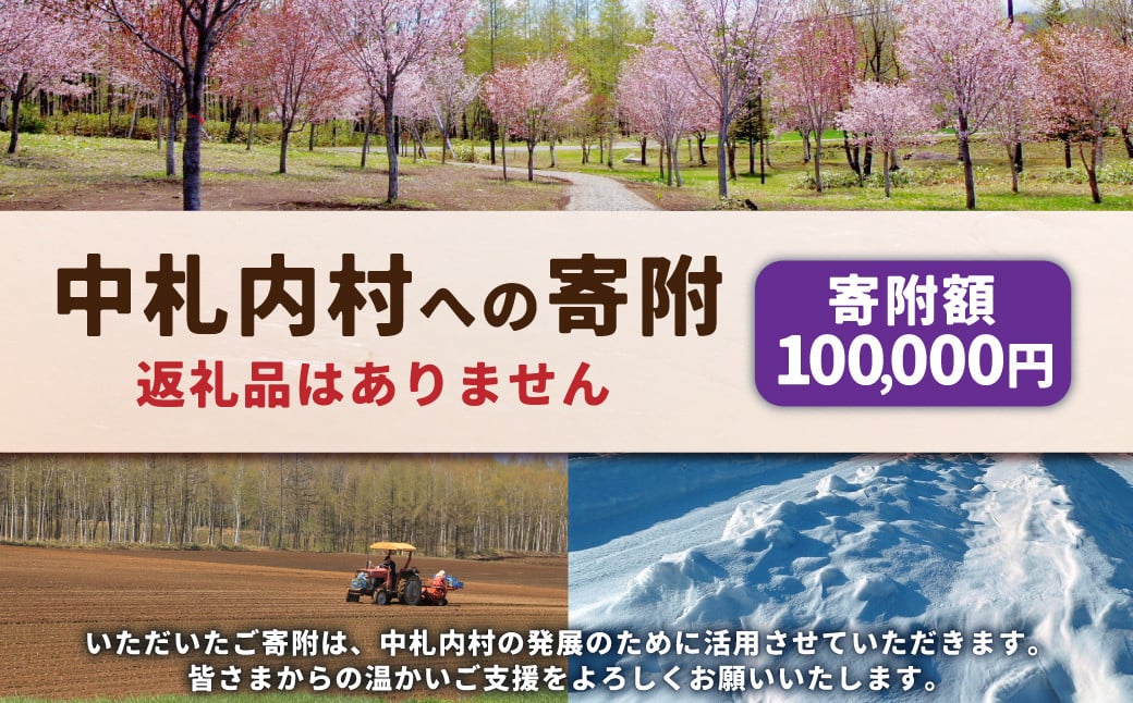 中札内村への寄附（返礼品はありません） 1口 100,000円 10万円 北海道 中札内村 寄附のみ 寄附 [038-0020]