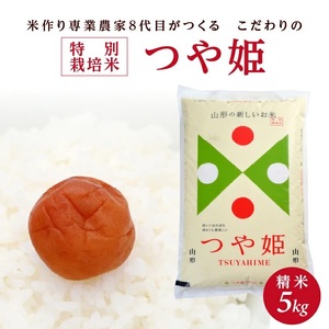 SA2888　【令和8年産 新米予約】［精米］特別栽培米 つや姫　5kg(5kg×1袋)「農家直送」 KA