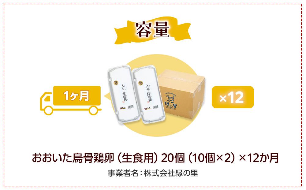 【定期便 全12回】大分うこっけい卵　生食用20個（10個×2）×12回