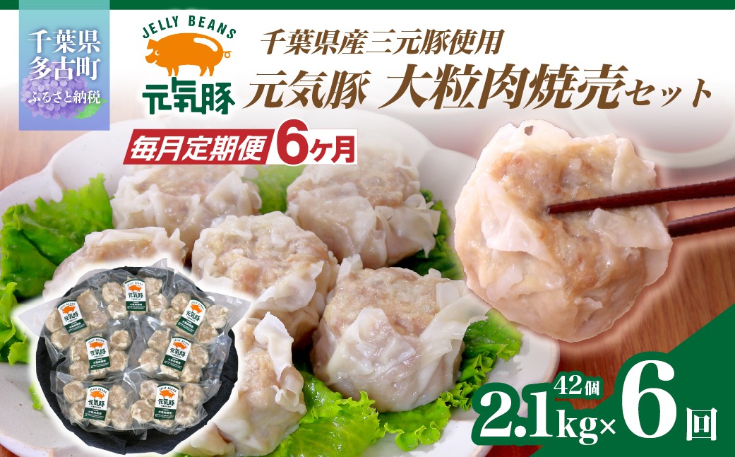 
                  ＜毎月定期便＞元気豚 大粒肉焼売セット 42個セット(計2.1kg)全6回 TAKB064
                