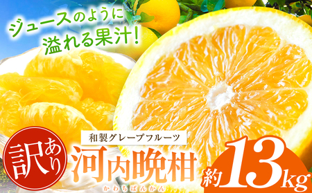 訳あり 河内晩柑 約 13kg 後藤農園 | 柑橘 みかん フルーツ 家庭用 和製 グレープフルーツ 果物 熊本県産