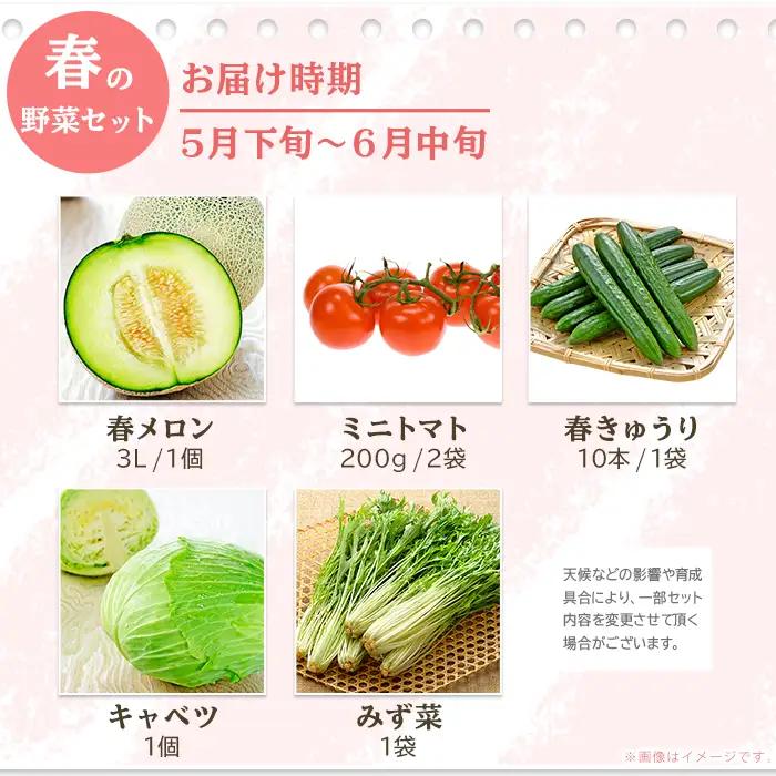 162 定期便 果物 フルーツ 野菜 茨城町 旬 年に4回 お届け お楽しみ メロン サツマイモ とうもろこし 等