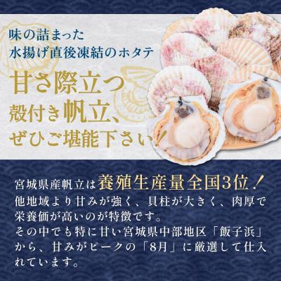 ふるさと納税 石巻市 【冷凍・生食用】 殻付き帆立 10枚 帆立 ホタテ ほたて 殻付き 生食 生食用 肉厚 |  | 01