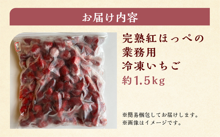 《 業務用 》 加工向き 冷凍いちご 紅ほっぺ 1.5kg 簡易梱包 サイズ 不揃い のため 訳あり 訳アリ フルーツ 果物 苺 いちご イチゴ アイス ヨーグルト シャーベット 苺 family農園