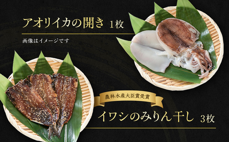 【氷見直送】本物のこだわり！半七の干物詰め合わせセット　【カマス・魚貝類・干物・鯖・サバ】