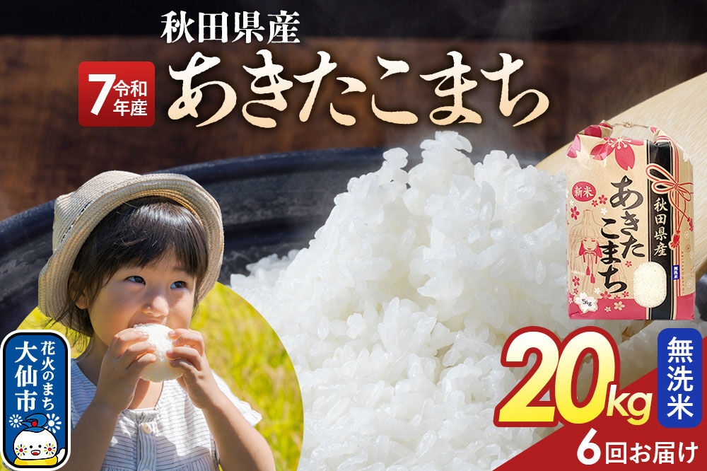 
                  《定期便6ヶ月》【無洗米】あきたこまち 20kg（5kg×4） 秋田県産 令和7年産  こまちライン 秋田県 大仙市産 [秋田 お米 米どころ あきたこまち こまちライン]
                