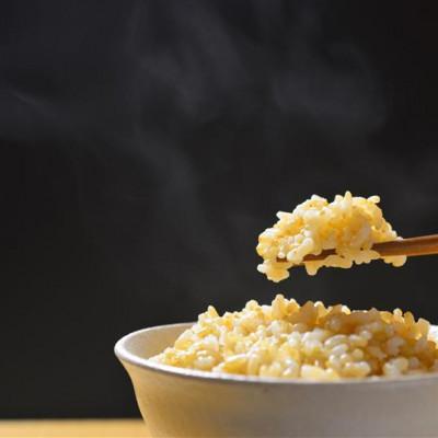 ふるさと納税 美里町 【新米予約!】令和8年産   ヒノヒカリ にこまる 食べ比べ 玄米 10kg(各5kg×2袋) |  | 01