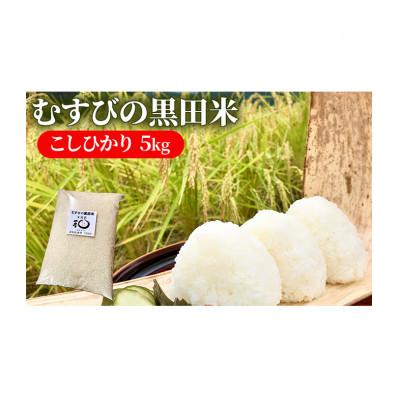 ふるさと納税 津市 《新米 先行予約》むすびの黒田米 こしひかり 5キロ[53720075]