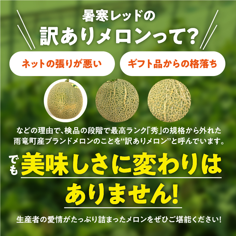 【令和8年産先行予約】【訳あり】北海道メロン 暑寒レッド 2玉 (3.2kg以上×1箱)《2026年9月より発送予定》ワケあり 家庭用 赤肉メロン わけあり 規格外 傷 不揃い くだもの フルーツ メ