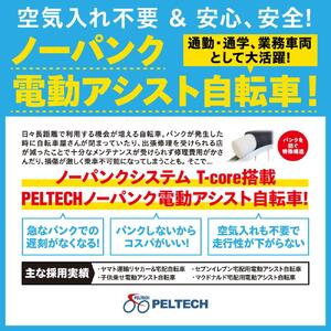 PELTECH（ペルテック）ノーパンク 折り畳み電動アシスト自転車 20インチ 折り畳み外装6段変速（TDN-206LN）【簡易組立必要】【ブラック】