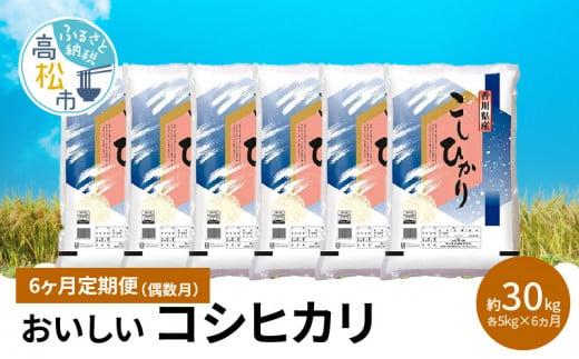 【6ヶ月定期便】計約30kg 偶数月 おいしいコシヒカリ約5kg 372013_T006-711J
