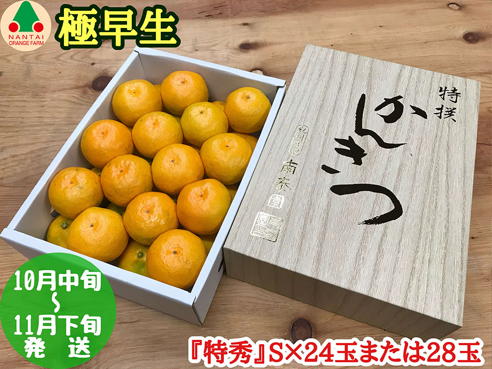 極早生 有田 みかん 化粧箱 小箱 特秀 S サイズ 24玉または28玉入 南泰園 和歌山 有田みかん