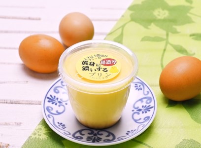ちゃたまや　自家製たまごプリン6種10ヶセット プリン【 卵 たまご 卵プリン プリンセット プリン詰合せ 長野県 佐久市 信州 】