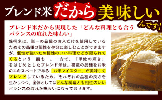 ★新米先行受付★令和６年産★【2024年10月以降より配送月指定可能】『甲佐の輝き』20kg（5kg袋×4袋）／出荷日に合わせて精米【価格改定ZF】