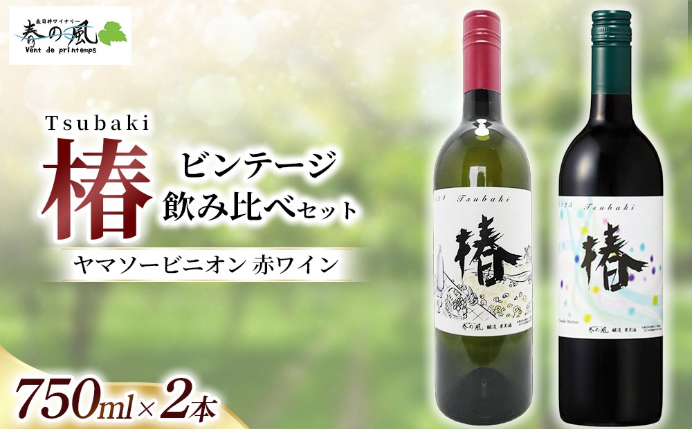 ヤマソービニオン 赤ワイン（椿）【ビンテージ】飲み比べ750ml×2本セット