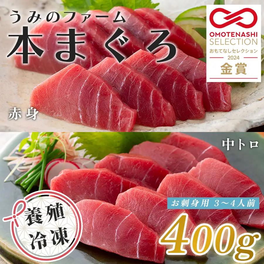 国産 養殖本マグロ2種盛 中トロ 赤身 400g 刺身用 冷凍 柵 ギフト 贈答 産地直送 丼 寿司