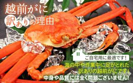 越前ガニ本場の越前町からお届け！越前ガニ浜茹で【訳あり】 越前ガニ(中）3杯と 越前の干しカレイ 6尾  食べ方しおり かにスプーン付き 越前町の網元漁師厳選の越前ガニ【かに カニ 蟹】【3月発送分】