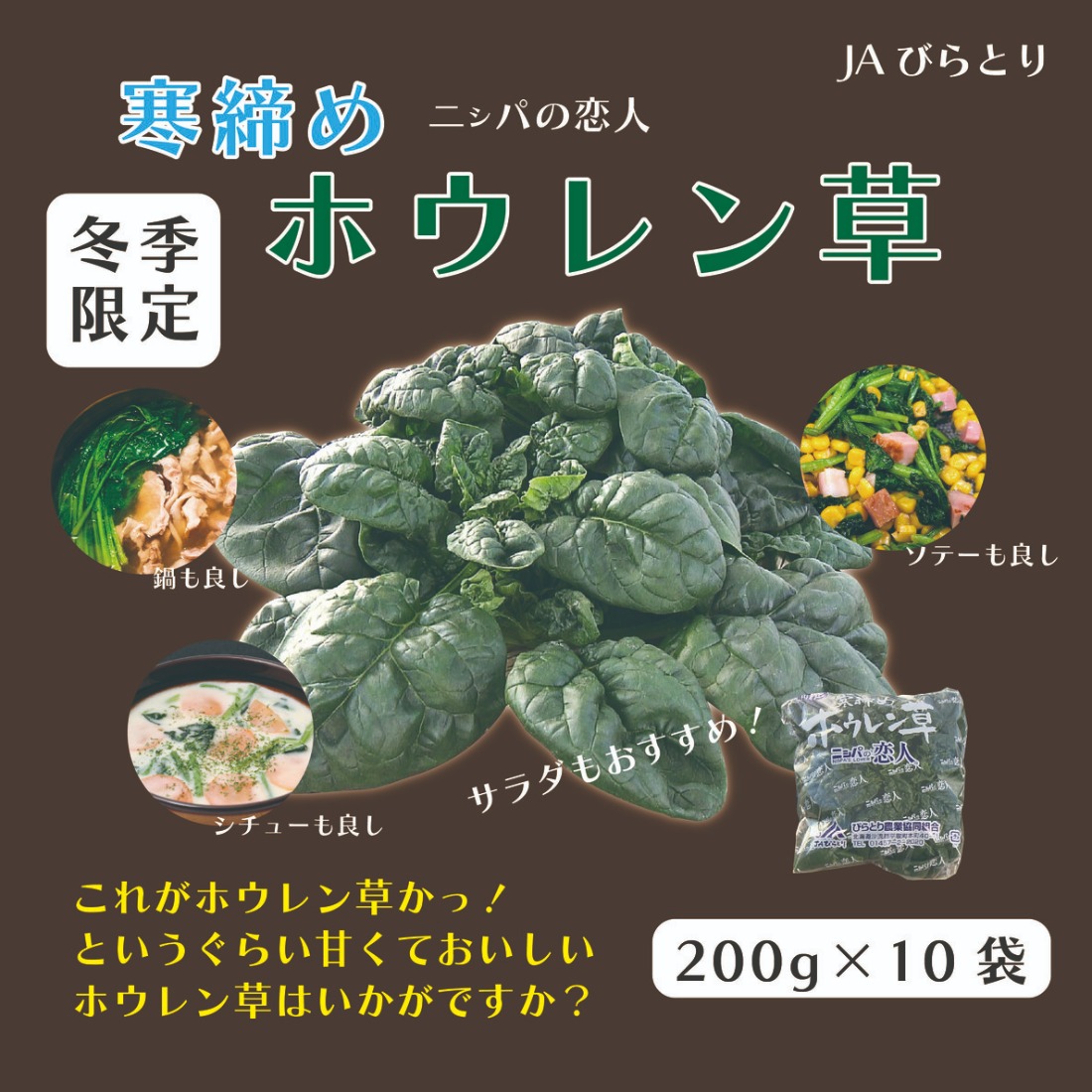 【先行予約/12月中旬以降発送】【北海道平取町産】寒締めホウレン草（ちぢみほうれん草）200g×10袋 BRTO003