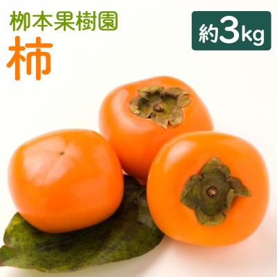 ふるさと納税 香南市 柿(カキ) 3kg 柳本果樹園の柿 yg-0014