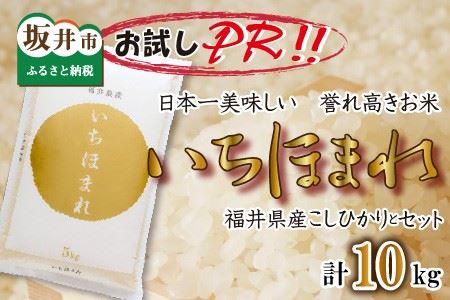 【試食PR用】福井県産 いちほまれ ＆ コシヒカリ 計10kg [B-3255]