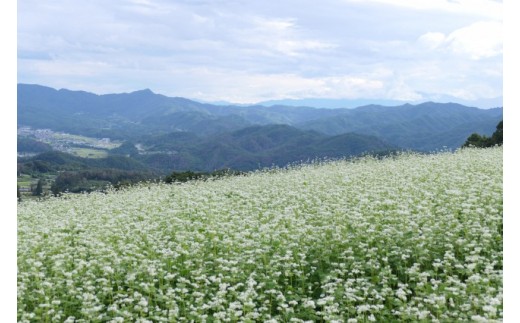 信州麻績村産　そば　手打ち　生そば　長野県 麻績村 麻績