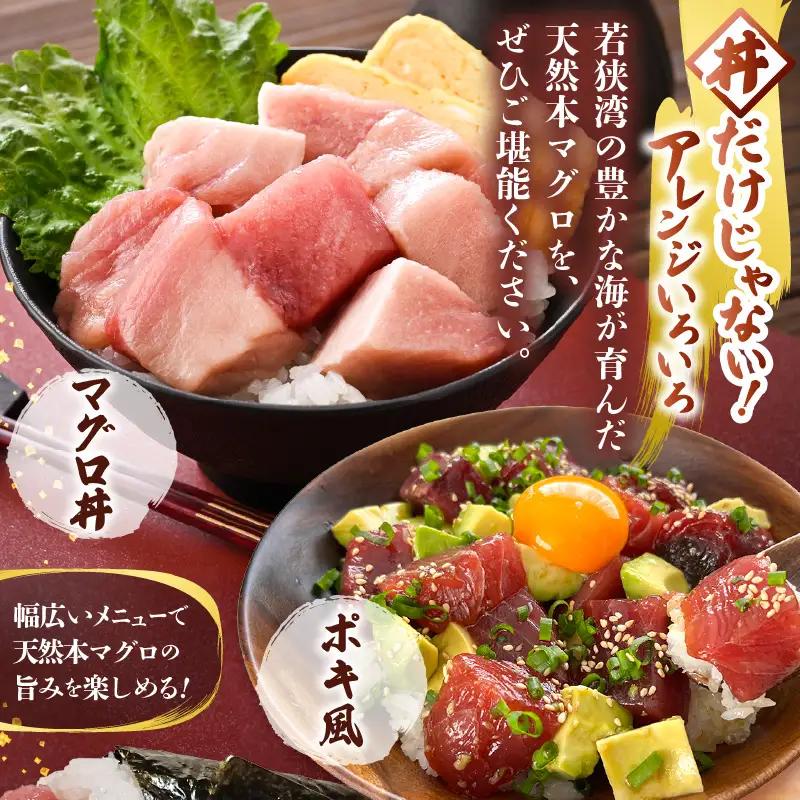 天然本マグロ 丼用カット300g（100g×3）【 鮪 海鮮 】 [m36-a039]