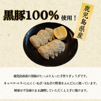 ふるさと納税 南九州市 黒豚100%ギョウザ(10個入×8パック) |  | 01