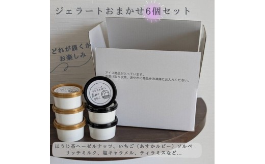 橿原　手作りジェラート6個セット