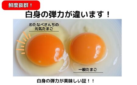 朝採り 新鮮！ たっぷり40個(36個＋割れ補償4個) 濃厚で美味しい卵 わたなべさんちの元気たまご 20個×2パック  新潟 糸魚川 卵 たまご  卵 たまご  卵 たまご  卵 たまご  卵 たま