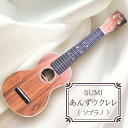 【ふるさと納税】 SUMIあんずウクレレ ( ソプラノ ) ｜ SUMI ウクレレ 杏材 国産木材 工芸品 千曲市 長野県