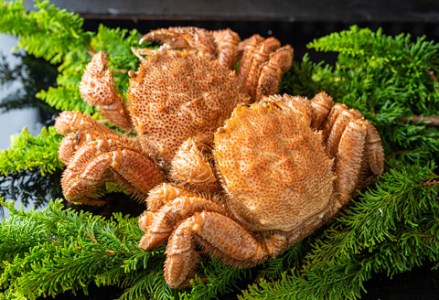 ボイル毛がに（浜茹で急速冷凍）2尾入 （2尾で800g～1.0kg） ふるさと納税 蟹 F4F-0443