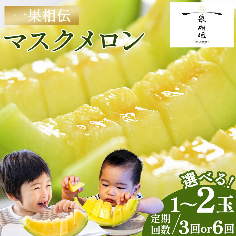 【ふるさと納税】【期間限定】一果相伝 マスクメロン 1玉入り/2玉入り 3回/6回 - 選べる 個数 定期便 送料無料 めろん 青肉 果物 くだもの フルーツ 贈答用 贈答品 贈り物 ギフト お礼 御礼 感謝 お祝い 御祝い 産地直送 新鮮 篤農 高知県 香南市【常温】