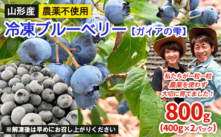 山形産 農薬不使用 冷凍ブルーベリー【ガイアの雫】800g(400g×2)★真空包装★  FZ23-581