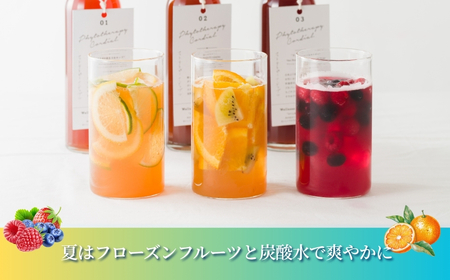 フィトテラピー コーディアル 03 285ml×1本 | ハーブティー
