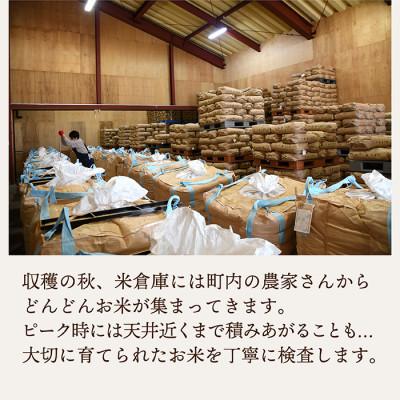 ふるさと納税 最上町 【新米先行受付　令和8年産】　特別栽培米　つや姫　精米10kg(5kg×2袋) |  | 01