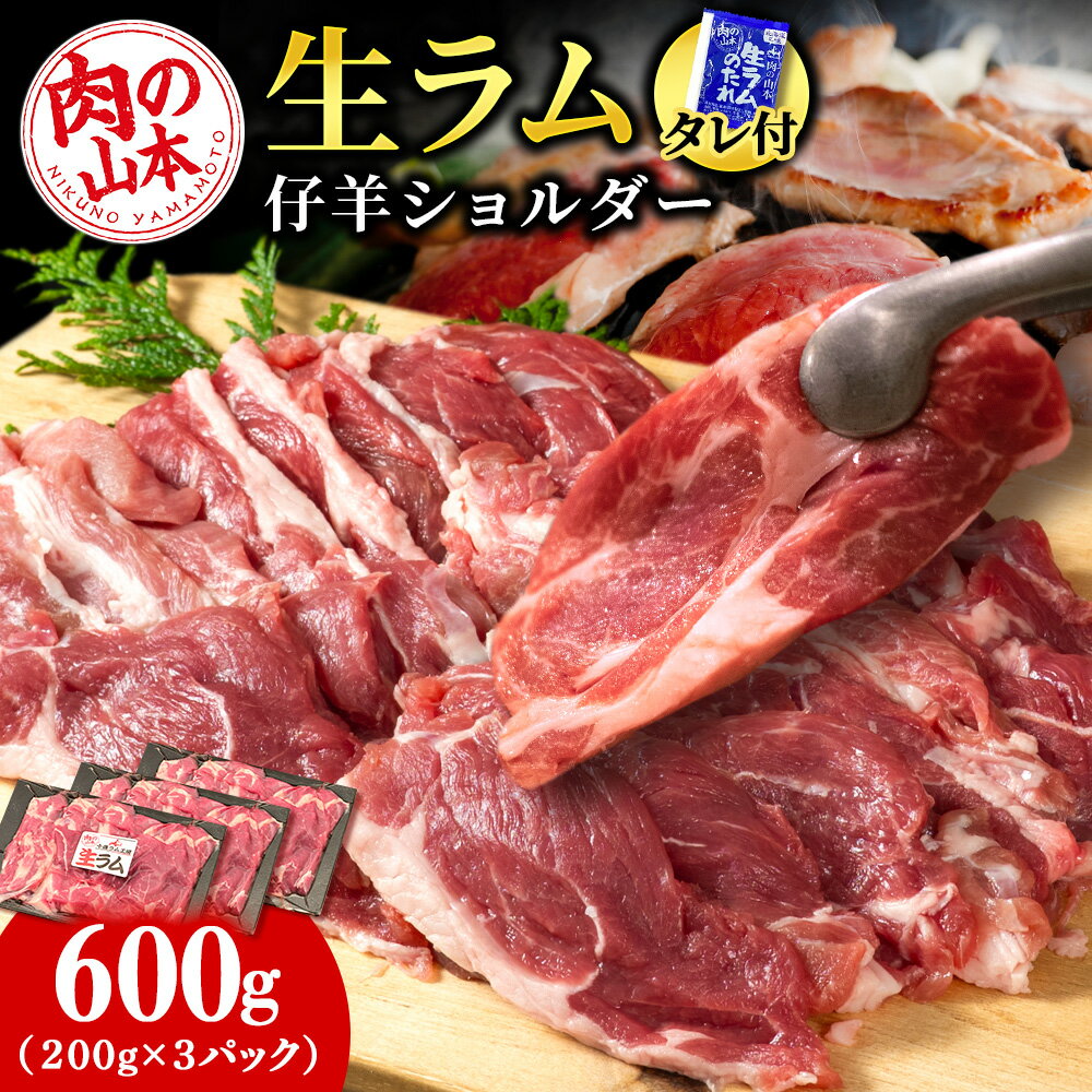 【ふるさと納税】生ラム （冷凍）タレ付 600g 選べる発送月 ＜肉の山本＞ ラム肉 羊肉 ジンギスカン タレ ラム 鍋 【北海道千歳市】ギフト ふるさと納税