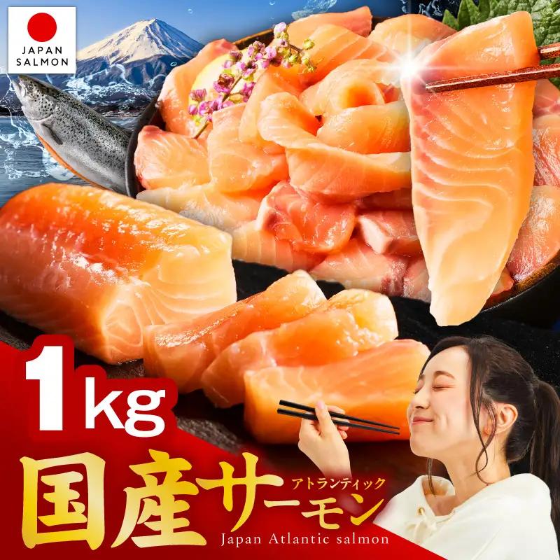 国産アトランティックサーモン 1kg ポーション
