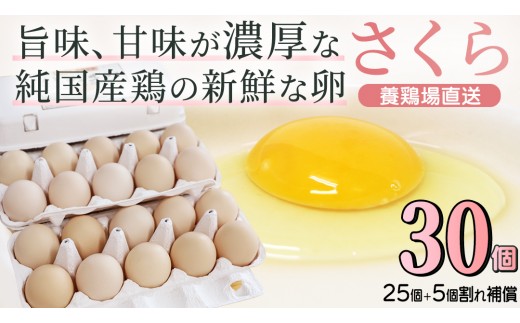 純国産鶏【さくら】純たまご 30個入り 破損保証5個を含む【たまご 卵 玉子 鶏卵 純たまご 採れたて 新鮮 卵 農地直送】(AJ027)