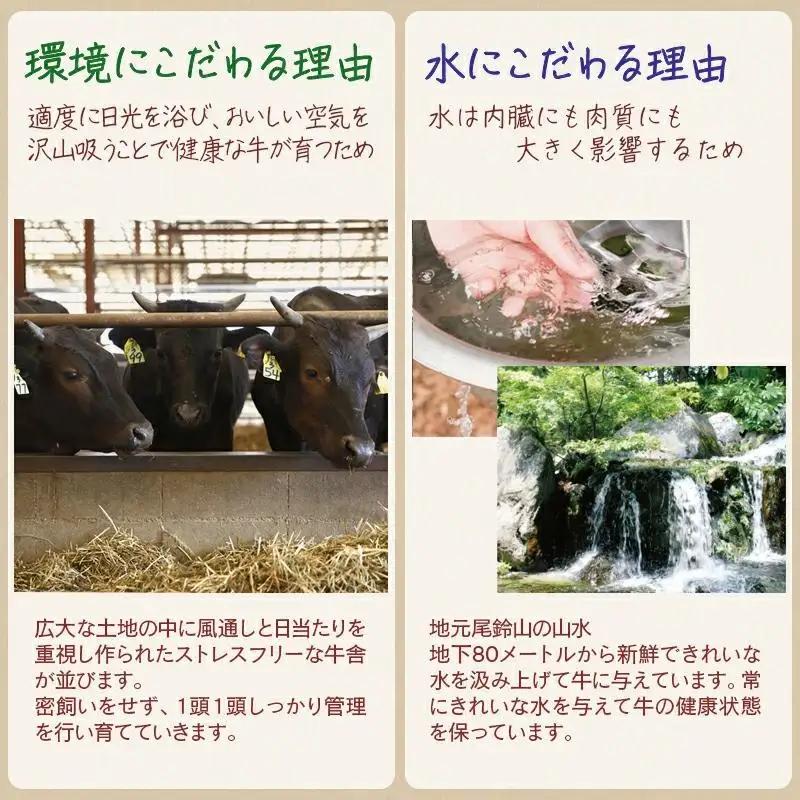 黒毛和牛 稀少部位を含む 特上おまかせ焼肉極み300g 有田牧畜産業オリジナルブランド「EMO牛」＜14-8a＞★