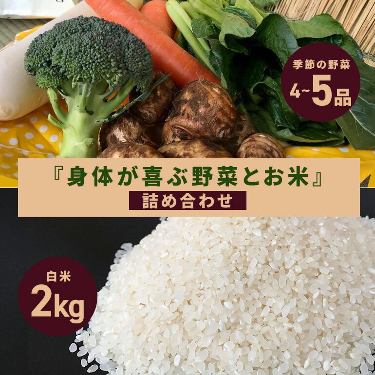 【ふるさと納税】 ＜白米 2kg＞『身体が喜ぶ野菜とお米』詰め合わせ おまかせセット 茨城県産 コシヒカリ 米 お米 ご飯 ごはん 栽培期間中農薬不使用 季節の野菜 セット 微生物農法 EM農法 有機栽培 産地直送 新鮮 家庭用 潮来はぐくみのもり 茨城県 潮来市 (A03-006)