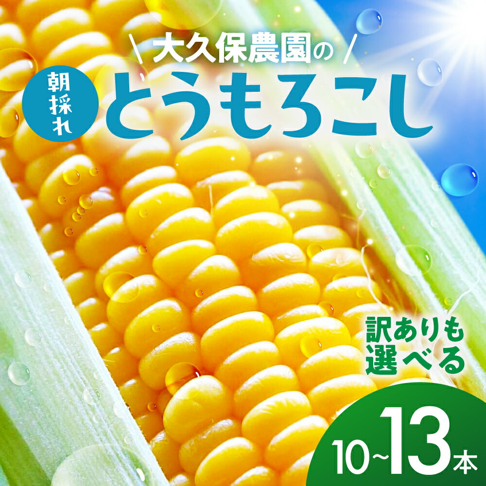 【ふるさと納税】＜先行予約＞ 朝採り とうもろこし 訳ありも選べる 10本～13本 訳あり とうもろこし 冷蔵 糖度 フルーツ くらい 甘い 田原市 トウモロコシ コーン おやつ スイーツ コーンスープ にも 事前予約 旬 夏 初夏 野菜 やさい