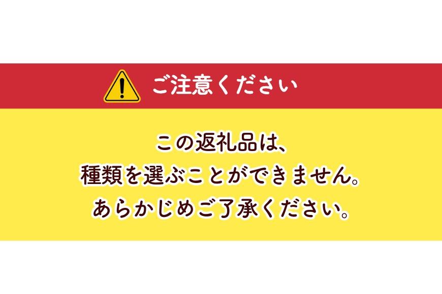 【〝美味しい〟を詰め込んだ福袋】 宮古島からお届け！（CW51）