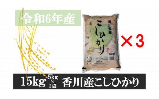 893-8　令和6年産香川県産こしひかり　5ｋｇ×3　紙袋配送　【8月配送】