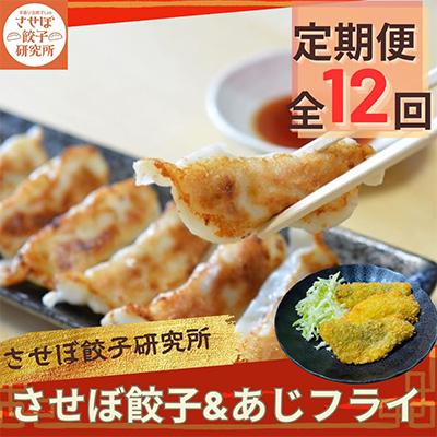 ふるさと納税 佐世保市 【毎月定期便】させぼ餃子研究所 させぼ餃子&amp;あじフライセット 全12回