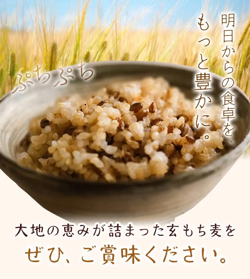 もち麦 玄もち麦 1kg 自然野菜のら