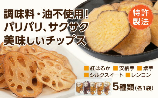 D206【ふるさと納税】 パリパリチップス（詰め合わせ）