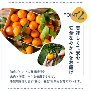 2024年秋よりお届け 瀬戸内　小みかん！コロ丸　約3kg