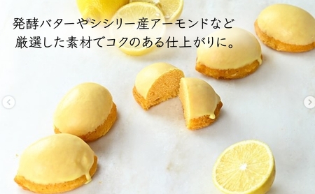 瀬戸内レモンケーキ 5個 レモンケーキ ケーキ