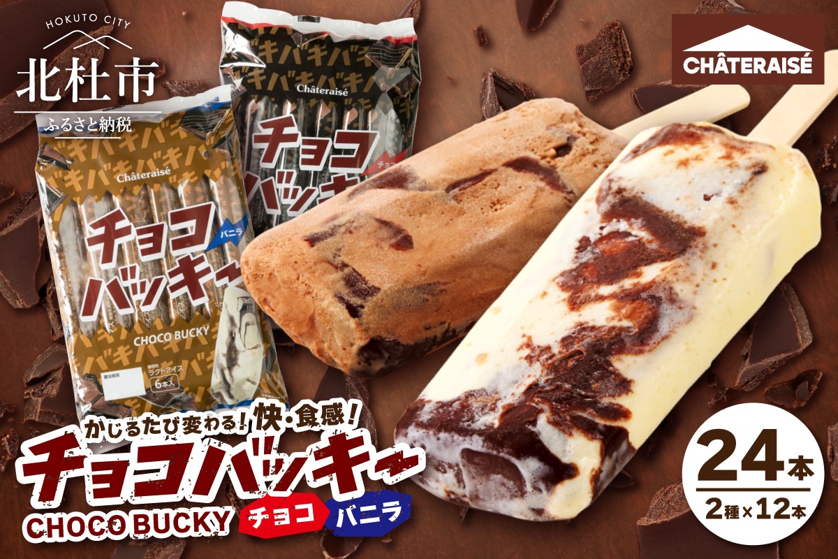 
                  【シャトレーゼ】【先行予約】チョコバッキーバニラ＆チョコ詰合せ24本入　アイスクリーム スイーツ アイス セット 人気 15000円 以内
                
